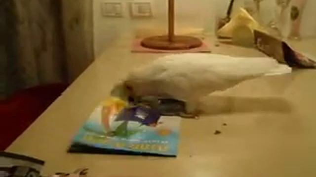 Учимся убираться