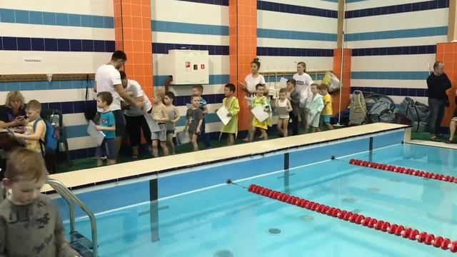 Девочки 2012-2013 гг.р., мальчики 2013 г.р. - награждение, 34 м на спине (02.03.2019 г., ГНП-1) смотреть онлайн