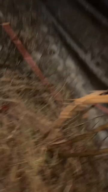 Архивное видео , работа в Геленджике смотреть онлайн