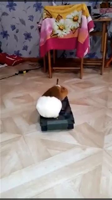 ХОМЯК ТАНКИСТ!!! смотреть онлайн
