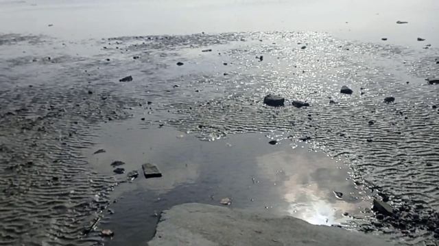 Весенняя прогулка к Азовскому морю. смотреть онлайн