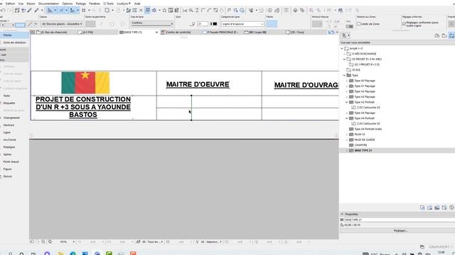 TUTO CARTOUCHE PERSONALISE DANS ARCHICAD : ASTUCE FACILE смотреть онлайн