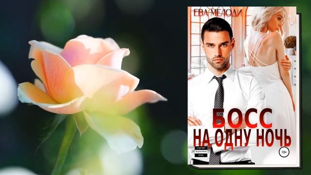 Босс на одну ночь (Ева Мелоди) Аудиокнига