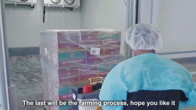 Удивительные технологии выращивания и переработки МАЛИНЫ | Noal Farm | Озвучивание смотреть онлайн