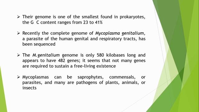 ASSISTANT SCIENTIST POLLUTION CONTROL BOARD- Mycoplasama #microbiology #botany смотреть онлайн