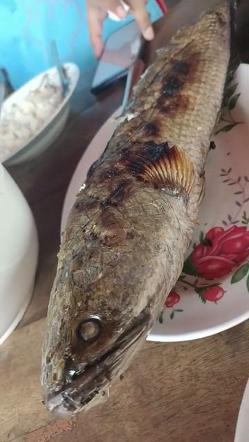 Today I Have A Big Grilled Fish #for Lunch # Cambodia Food