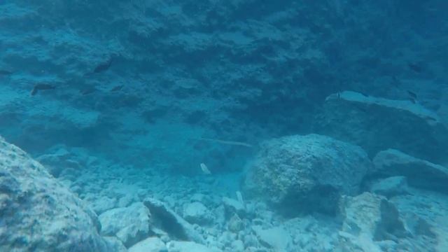 Oludeniz snorkeling смотреть онлайн