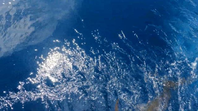 RAW Video (unedited) of Heidi's Blue Marlin out of Iztapa Guatemala. #7 of 7 смотреть онлайн