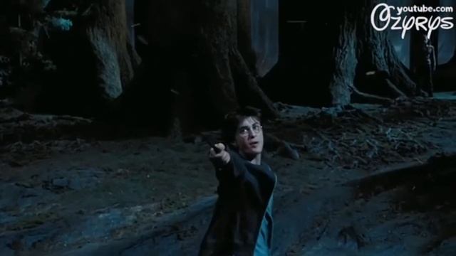 Harry Potter coffin dance season 5 (голосом бурундука) смотреть онлайн