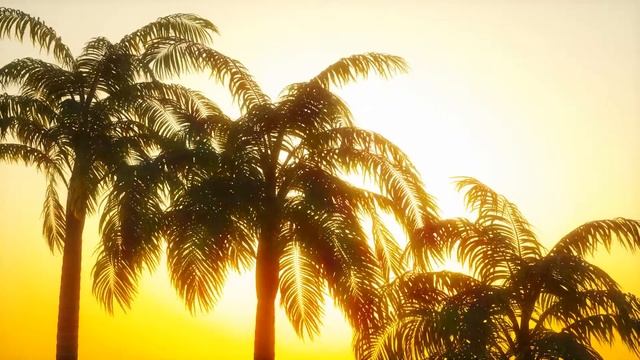 3d models of sunset palm & wind animation in GrowFX смотреть онлайн