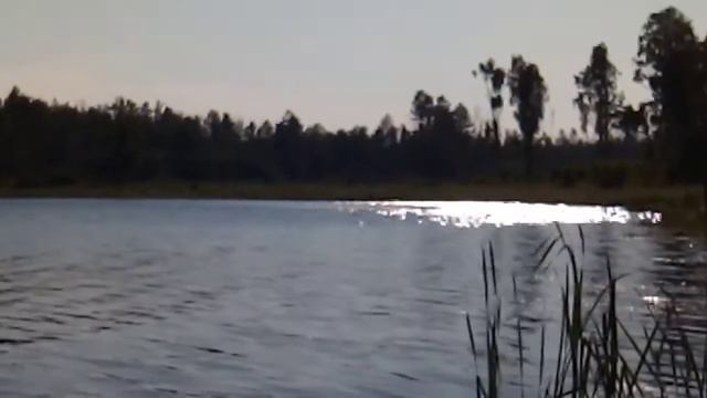 VID 20210724 173605
