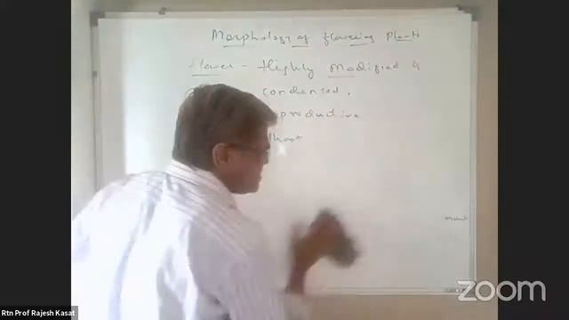 11 OCT 21 XI SCI BIO MORPHOLOGY OF FLOWERING PLANTS RK смотреть онлайн