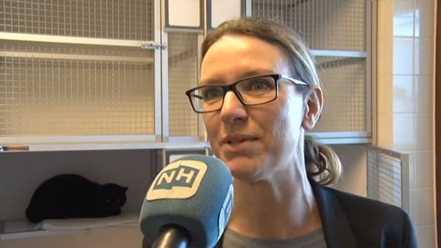 Vrouw van Geert Wilders adopteert twee katjes uit asiel in Zaandam смотреть онлайн