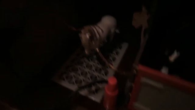 Катание на лошадях смотреть онлайн