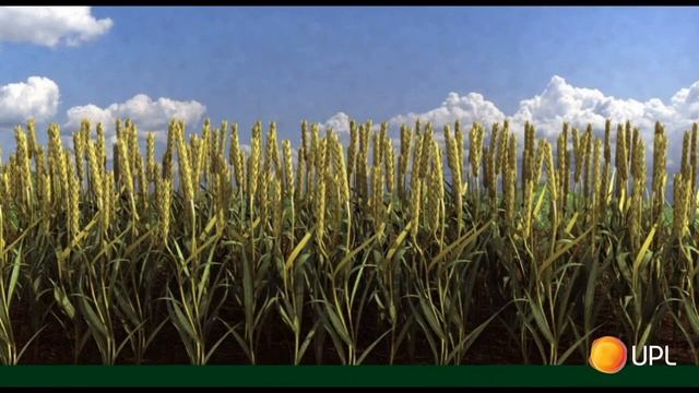 Активатор питания АППЕТАЙЗЕР, ВР смотреть онлайн