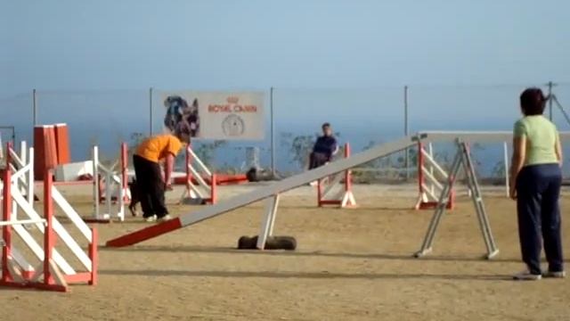 Hydra - UCECA Badalona 21-11-09 Agility смотреть онлайн