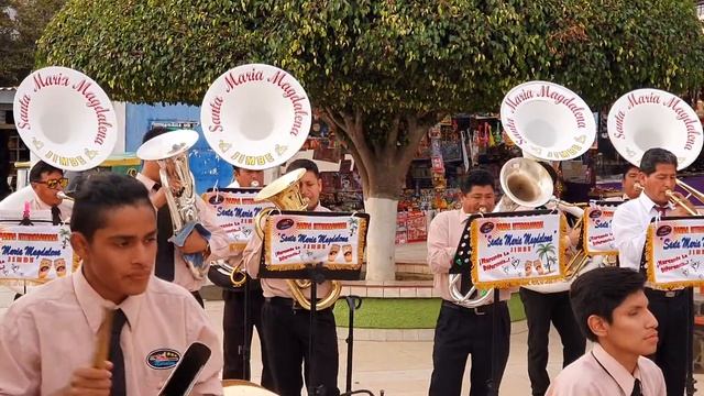 Mala Mujer - Salsa. BANDA INTERNACIONAL SANTA MARIA MAGDALENA DE JIMBE- HNS MORALES 2019 🎷🎵🎺🇵🇪 смотреть онлайн