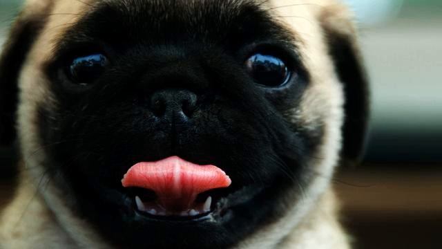 Слушать самую новую русскую музыку для путешествия... смотреть онлайн