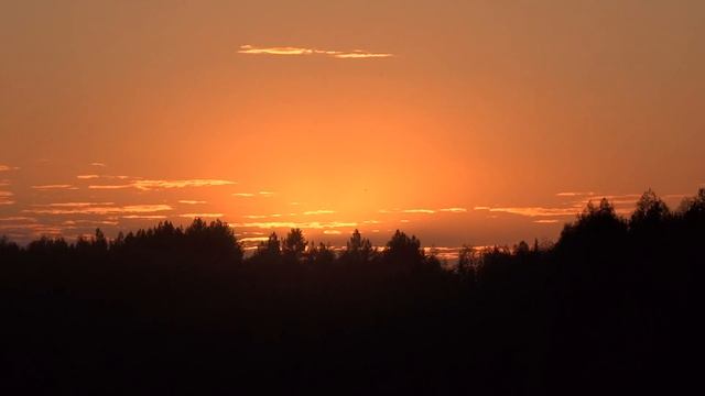 Звуки вечернего леса смотреть онлайн