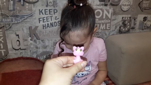 Шокоприз и сквиш