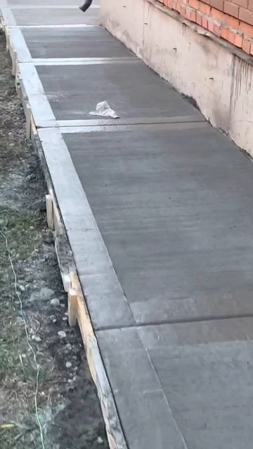 Бетонирование двора своими руками красиво #shortvideo #youtube #top #shortsvideo смотреть онлайн