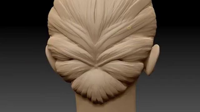 3D Hair Speedsculpt - ZBrush смотреть онлайн