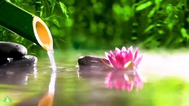 自然の音とともに音楽をリラックス バンブーウォーターファウンテン 【癒し音楽BGM】 Bamboo Water Fountain + Sleep, Relaxing Music, Spa Music смотреть онлайн