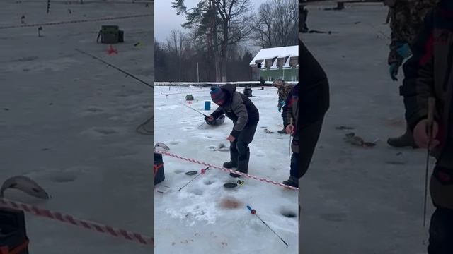 В ОЛЬГОВО ВЕСЕЛО