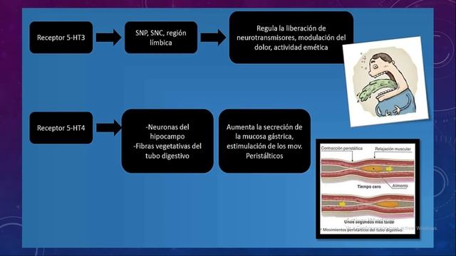 RECEPTORES DE SEROTONINA - FARMACOLOGÍA GENERAL смотреть онлайн
