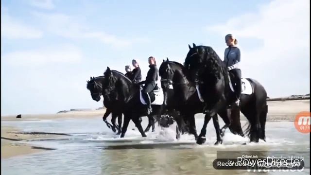 Клип с фризами смотреть онлайн