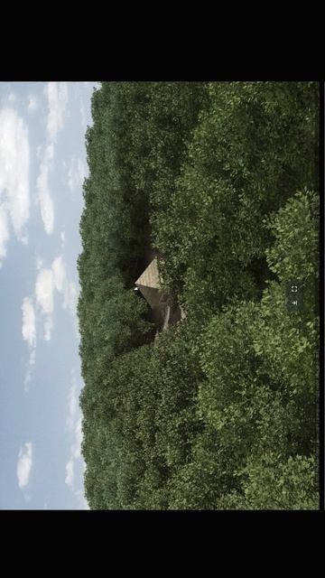 Еще про лодку, о scattering объектов, о 3d-коктейле и работе без Forest Pack. #shorts смотреть онлайн