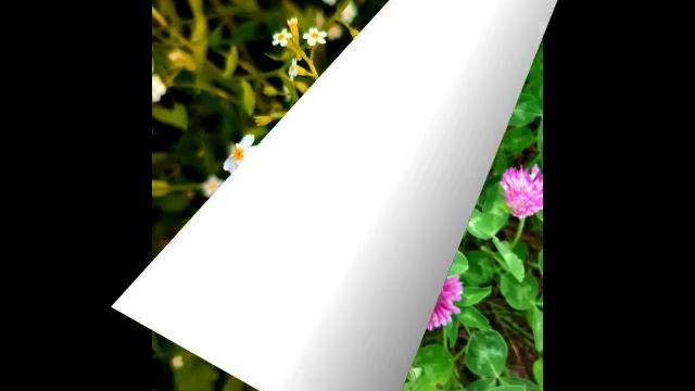 Красивая летняя природа, прекрасные цветы и мелодия.mp4 смотреть онлайн