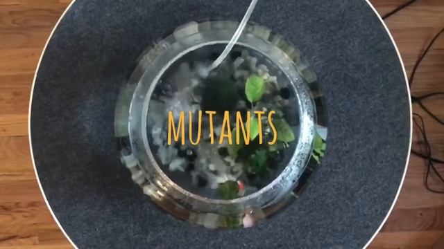 Joe Parr / The Coffee Ritual / Mutant / Alvar Aalto смотреть онлайн