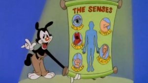 Озорные анимашки - Песня О Чувствах / The Senses