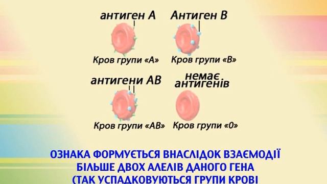 ВЗАЄМОДІЯ ГЕНІВ ТА ЇЇ ТИПИ смотреть онлайн