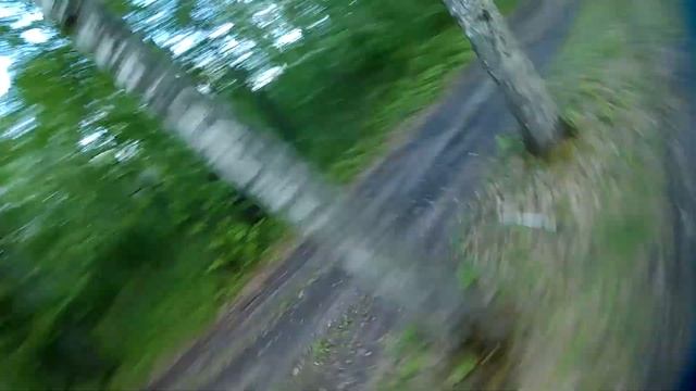 Моя "тренировочная база" в ближайшем лесу. смотреть онлайн