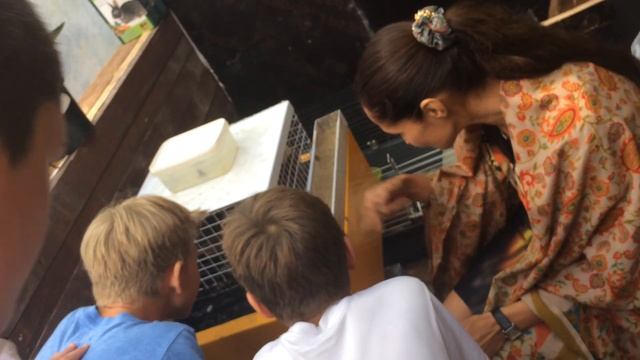 Перепелиная ферма. Seymour House School