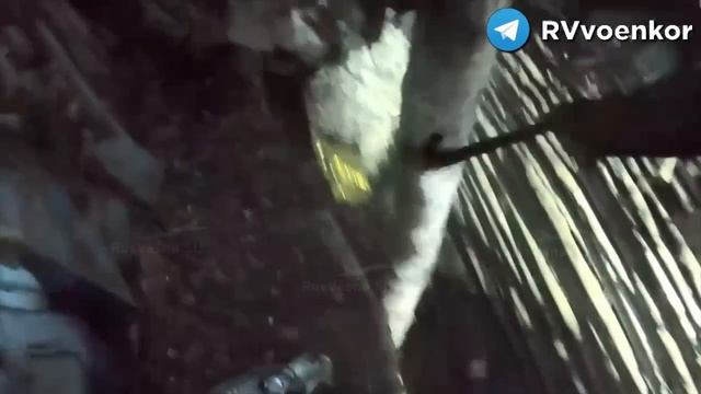 ⚡️Сегодня День Сил Специальных Операций смотреть онлайн