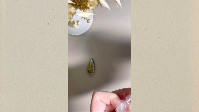 Распаковка покупки из магазина минералов смотреть онлайн