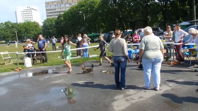 Krass Orion Narcissa. 18,08.2012 г. Харьков. МОНО смотреть онлайн