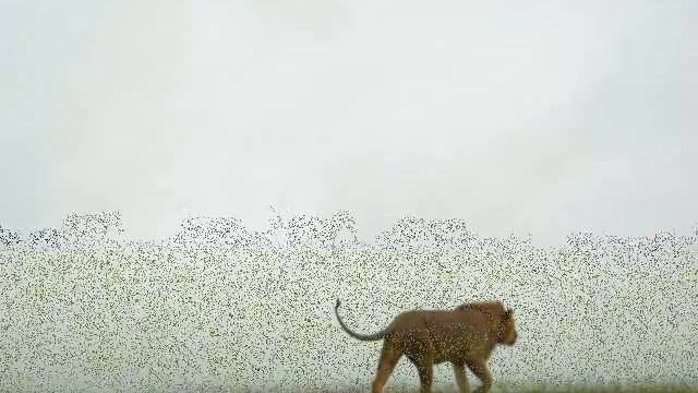 Leão Leoa Zebra Macaco Gnu Hiena Safari Africa Tanzania смотреть онлайн