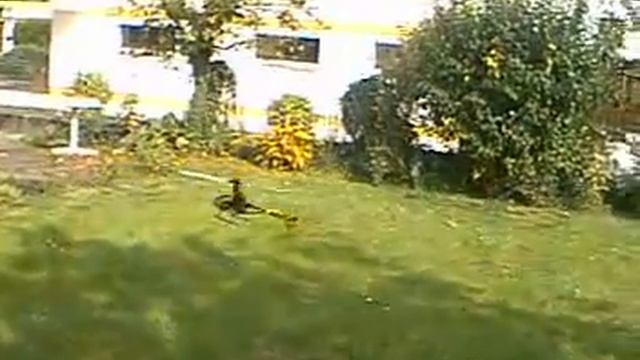 belt mini video смотреть онлайн