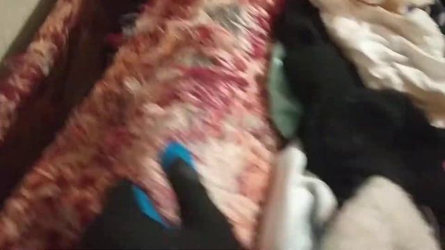 При вывозе мусора и уборке из квартиры найден мертвый кот смотреть онлайн