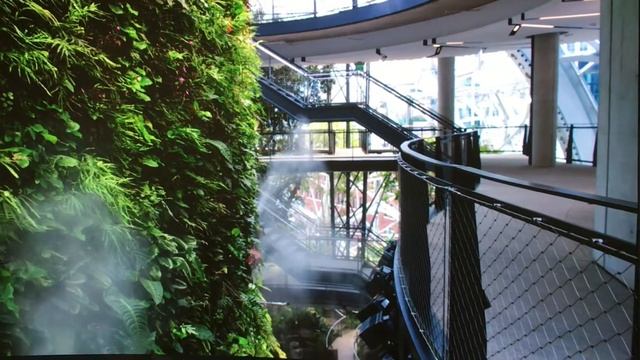 Episode 44 - the spheres | Amazon's Urban Rainforest In Downtown Seattle смотреть онлайн