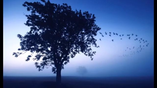 Умолкли птичьи голоса... Христианская песня смотреть онлайн