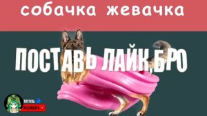 НОВАЯ ПЕСНЯ про МЫШКА СОСИСКА ЧАСТЬ 2 // ХАБИБ ЯГОДА МАЛИНКА ПАРОДИЯ // Песня про мышка-сосиска