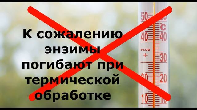 Без энзимов нет жизни смотреть онлайн
