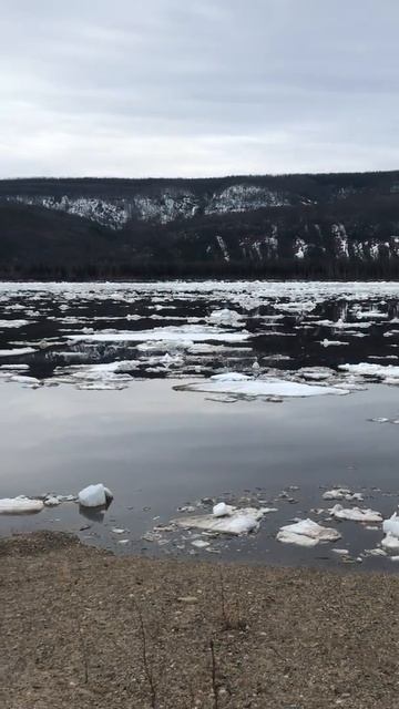 Ледоход на реке Лене. Ленск. Якутия. 7 мая, 2018 г. смотреть онлайн