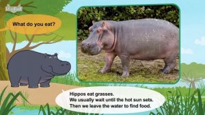 28. Meet the Animals  Hippopotamus  Big Hippos  Land Mammals  Wildlife Animals  Kindergarten