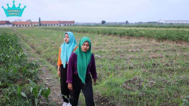 KASIHAN AYA DAN DEDE BAYI JATUH DARI JEMBATAN | CHIKAKU FAMILY